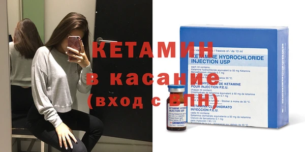 прущие грибы Наволоки