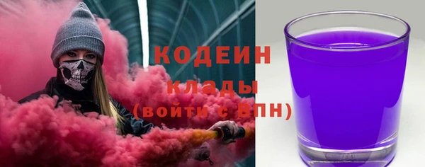 прущие грибы Наволоки