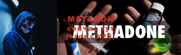 прущие грибы Наволоки