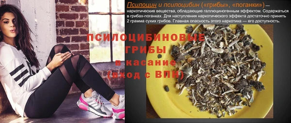 прущие грибы Наволоки