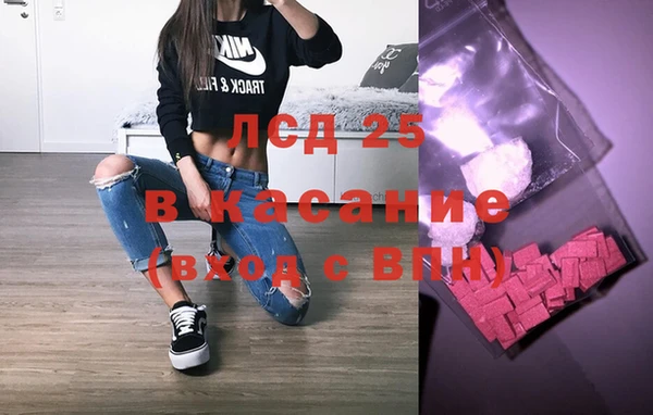 прущие грибы Наволоки