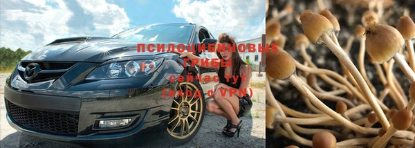 трава Нефтегорск
