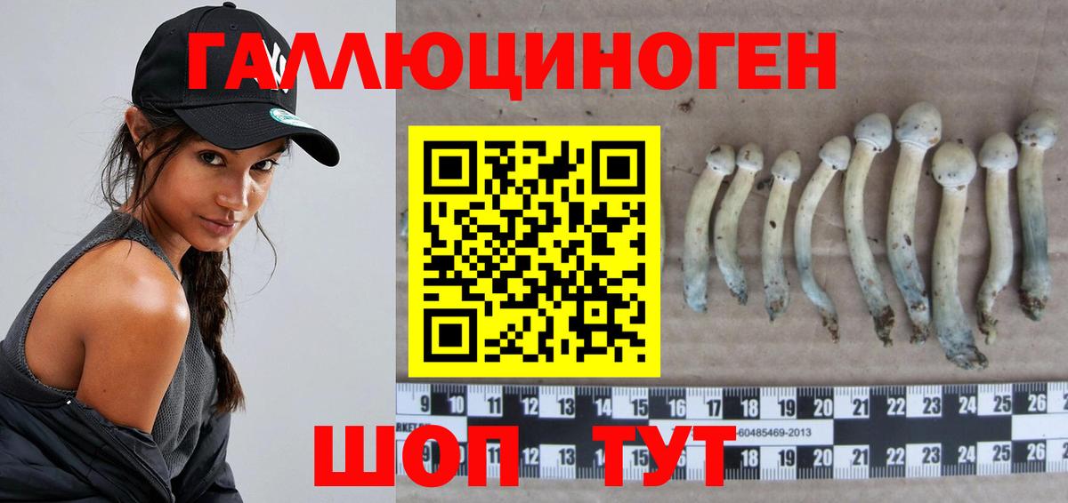 Галлюциногенные грибы MAGIC MUSHROOMS  Вход с VPN  Уссурийск 